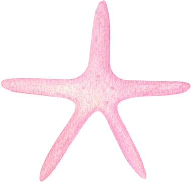 Starfish watercolor illustration