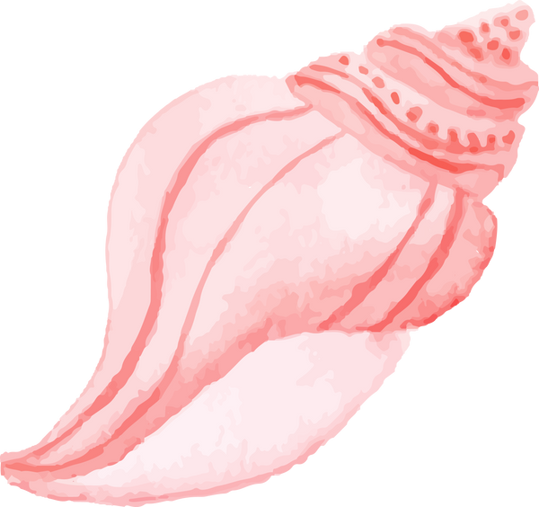 watercolor summer sea creature element