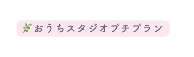 おうちスタジオプチプラン